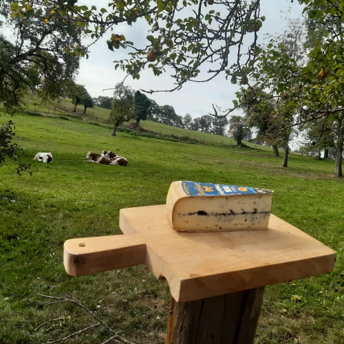Le Gruyère de France est issu des prairies de Savoie et de Franche-Comté (Haute-Saône et Doubs)