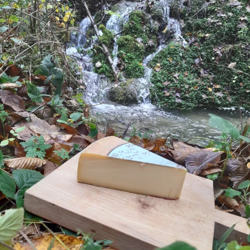 La raclette est un fromage à base de lait cru de vache.